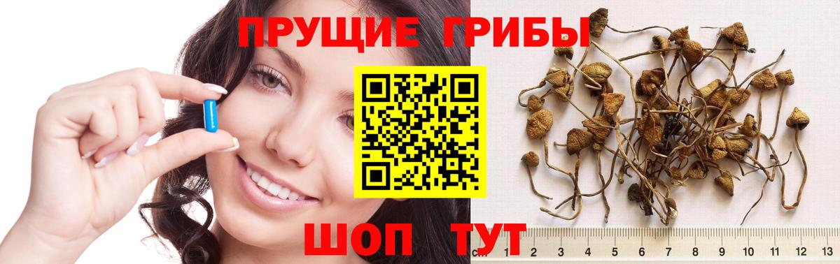 Галлюциногенные грибы мухоморы Алексин